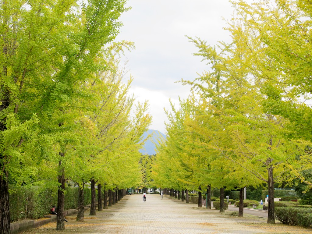 【関東】絶景すぎる！見ごたえ抜群！人気紅葉スポットおすすめ10選！