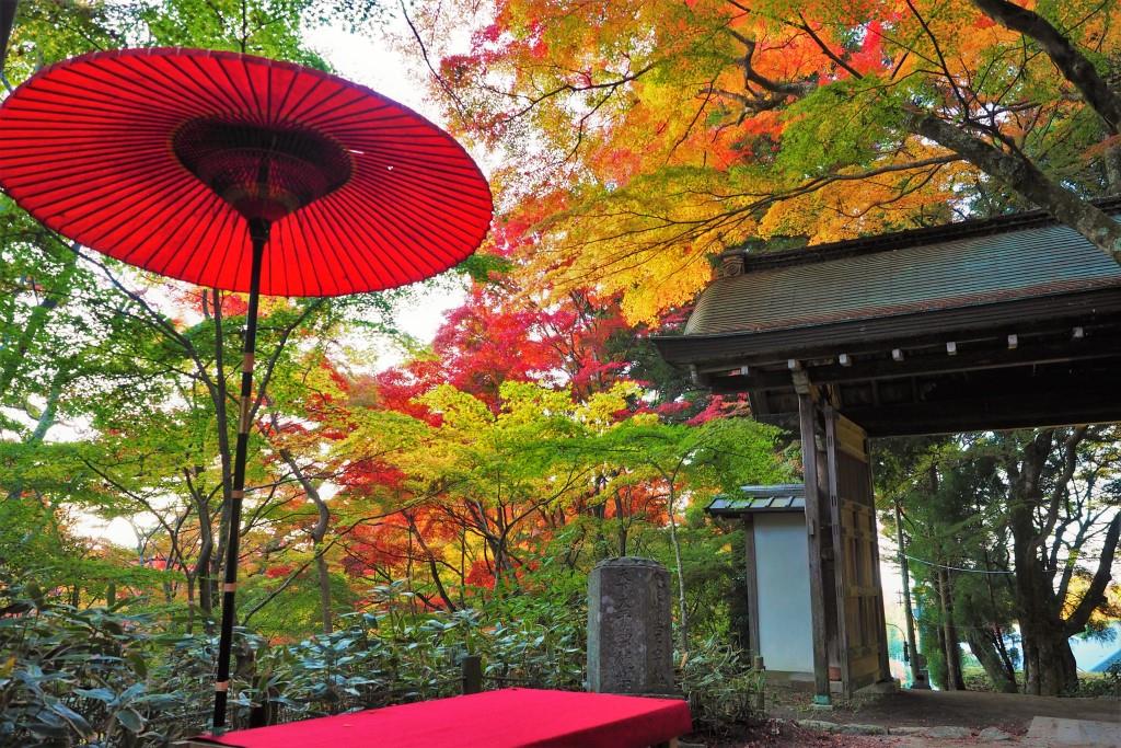 【関西】絶景！最高の紅葉狩りがしたいあなたへ！おすすめスポット6選